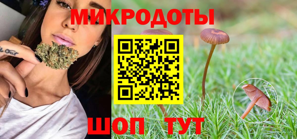 Псилоцибиновые грибы Psilocybe Топки