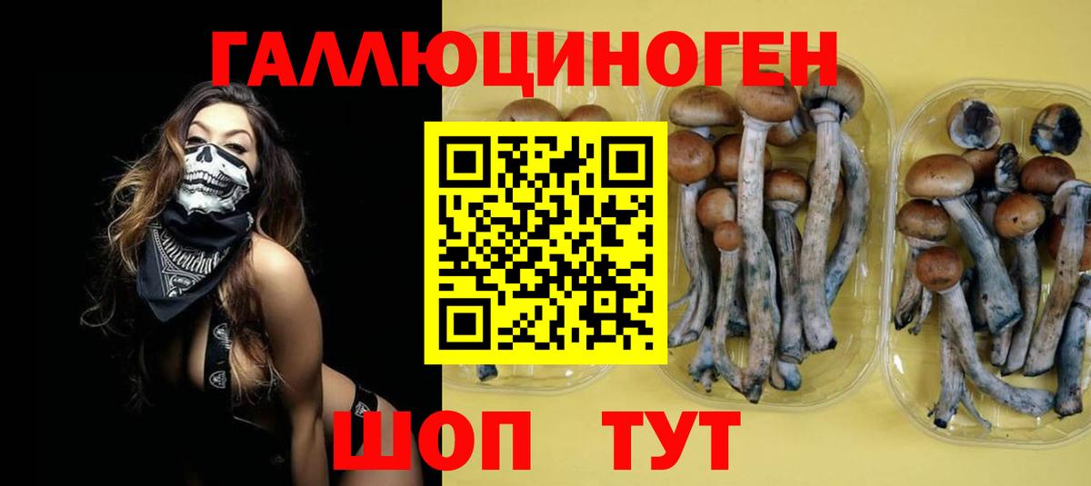 Галлюциногенные грибы прущие грибы  закладка  Топки  Вход с VPN 
